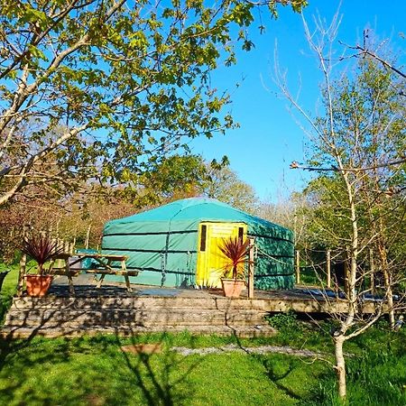 Hotel The Yurt In Cornish Woods A Glamping Experience à Penzance Extérieur photo