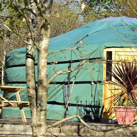 Hotel The Yurt In Cornish Woods A Glamping Experience à Penzance Extérieur photo