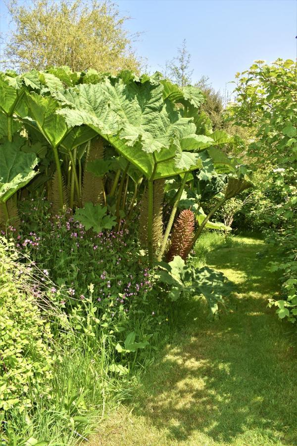 Hotel The Yurt In Cornish Woods A Glamping Experience à Penzance Extérieur photo