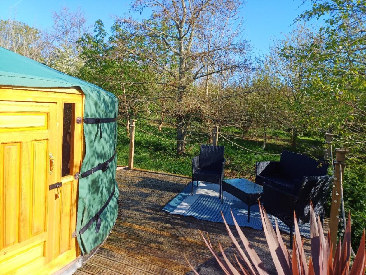 Hotel The Yurt In Cornish Woods A Glamping Experience à Penzance Extérieur photo