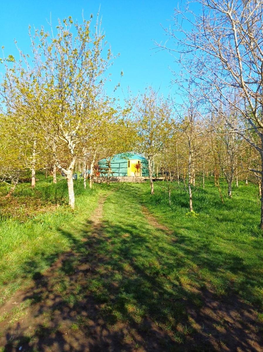 Hotel The Yurt In Cornish Woods A Glamping Experience à Penzance Extérieur photo