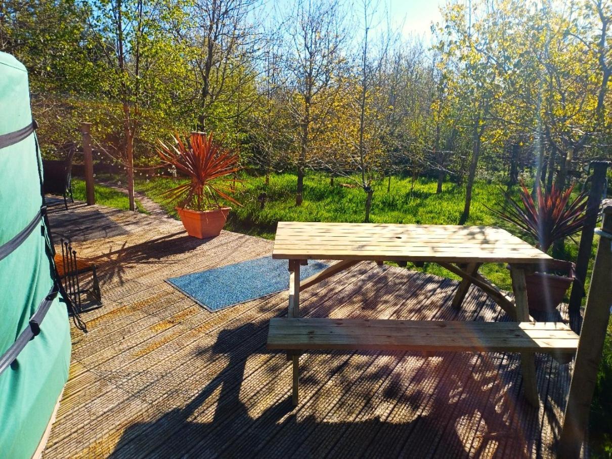 Hotel The Yurt In Cornish Woods A Glamping Experience à Penzance Extérieur photo