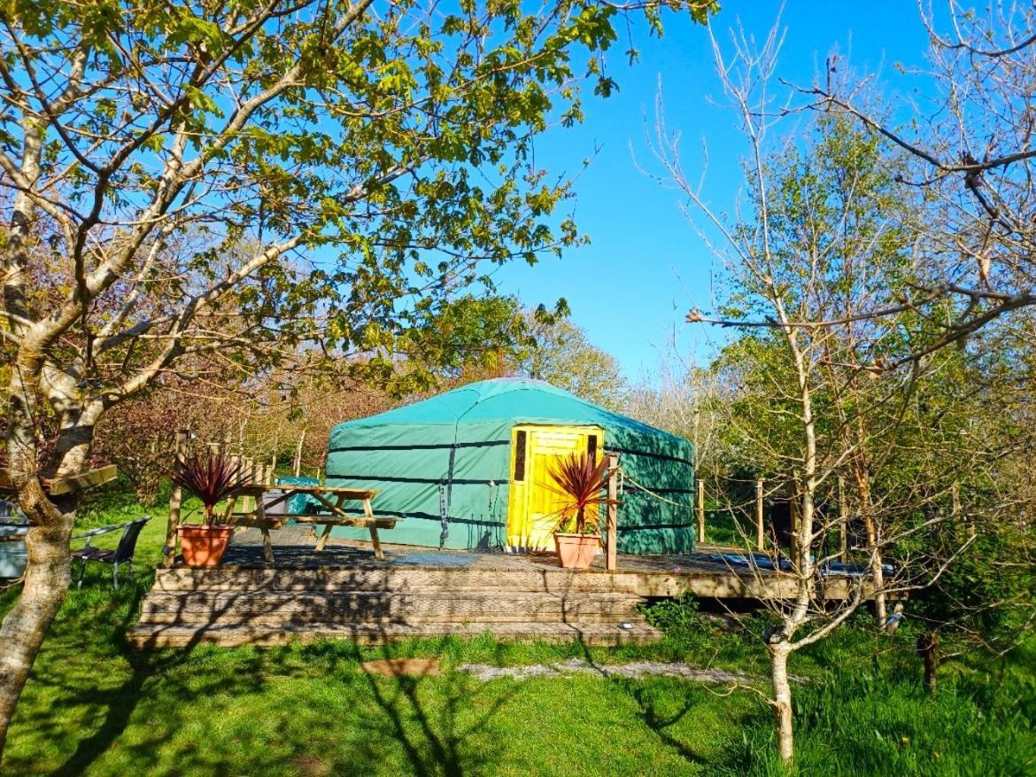 Hotel The Yurt In Cornish Woods A Glamping Experience à Penzance Extérieur photo